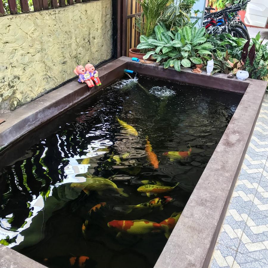 Vanvisa Guesthouse Luang Prabang Bagian luar foto