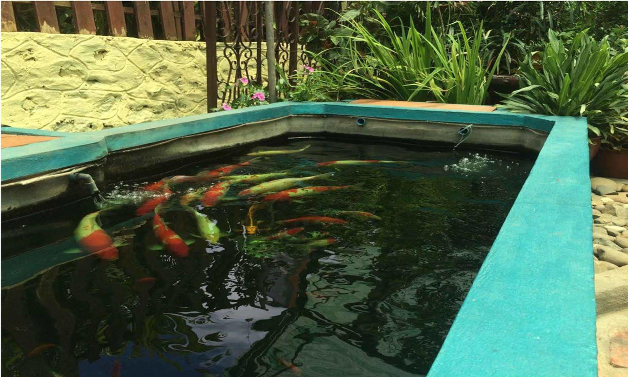 Vanvisa Guesthouse Luang Prabang Bagian luar foto